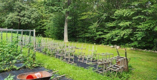 186 Clark Rd, Albion, ME 04910 - view of grassy yard with a vegetable garden and a wooded view