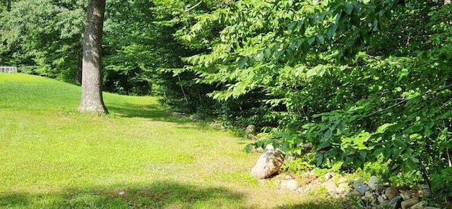 186 Clark Rd, Albion, ME 04910 - view of green lawn