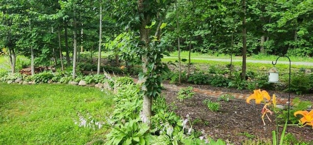 186 Clark Rd, Albion, ME 04910 - view of undeveloped land