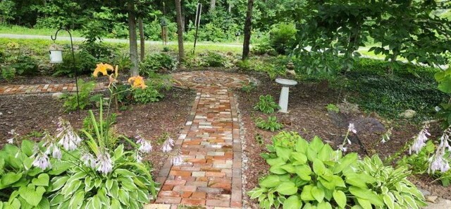 186 Clark Rd, Albion, ME 04910 - view of yard