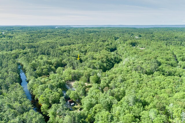160 Maplewood Dr, Naples, ME 04055 - view of property location with a forest