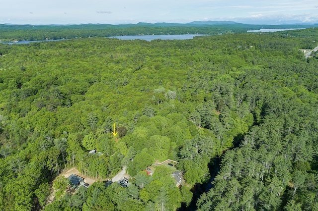 160 Maplewood Dr, Naples, ME 04055 - view of property location with a heavily wooded area and a water and mountain view