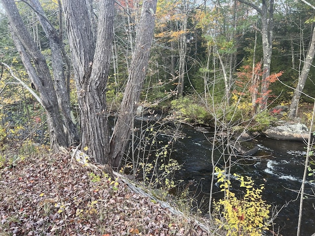 TBDLot Norway Road, Waterford, ME 04088
