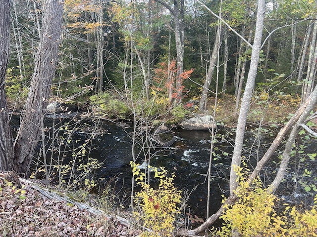 TBDLot Norway Road, Waterford, ME 04088