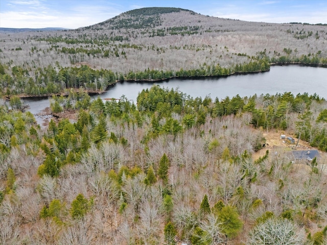 0 Pine Hill Ln, Blue Hill, ME 04614