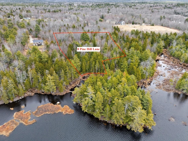 0 Pine Hill Ln, Blue Hill, ME 04614