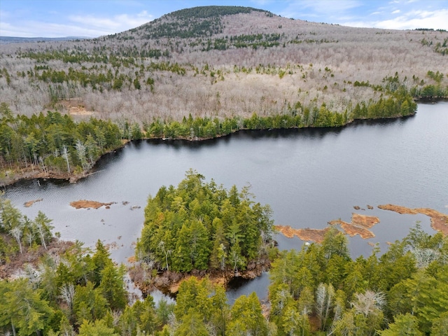 0 Pine Hill Ln, Blue Hill, ME 04614