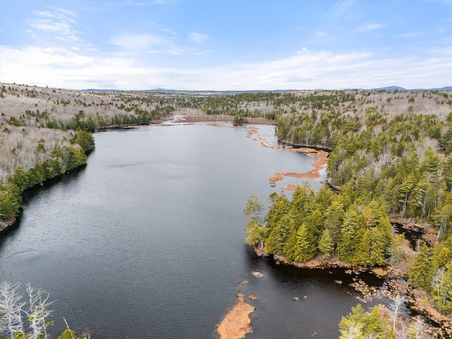 0 Pine Hill Ln, Blue Hill, ME 04614