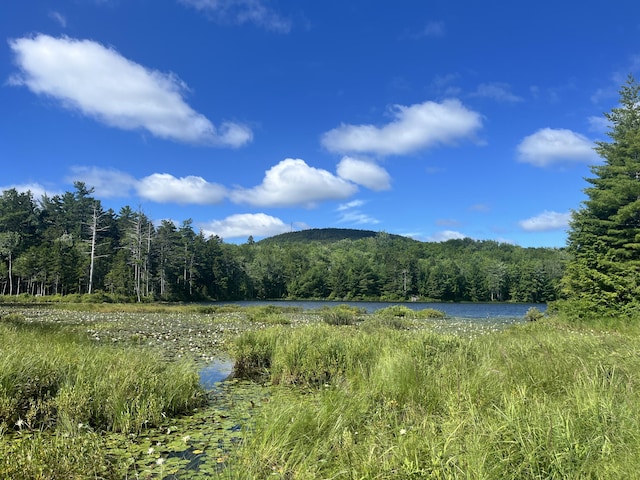 0 Pine Hill Ln, Blue Hill, ME 04614 - photo 1