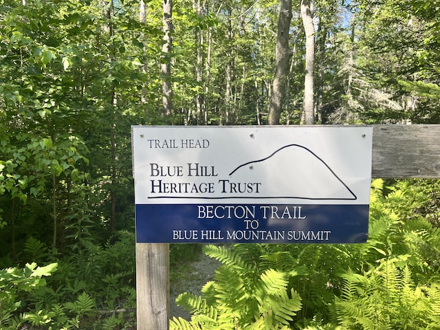 0 Pine Hill Ln, Blue Hill, ME 04614 - photo 12