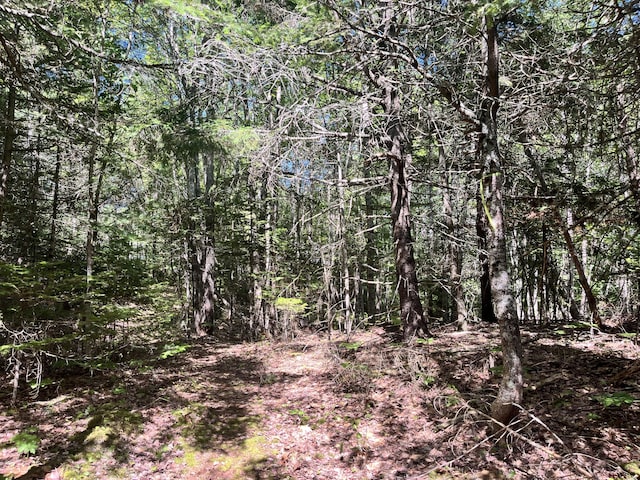 0 Pine Hill Ln, Blue Hill, ME 04614 - photo 3