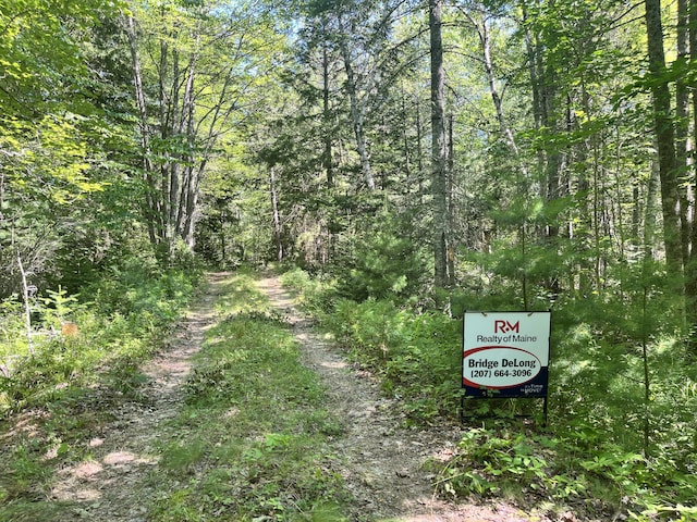 0 Pine Hill Ln, Blue Hill, ME 04614 - photo 11