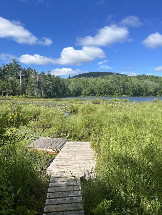 0 Pine Hill Ln, Blue Hill, ME 04614 - photo 2