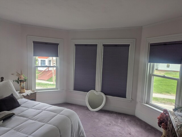 35 Brimmer St, Brewer, ME 04412 - carpeted bedroom featuring multiple windows and ornamental molding