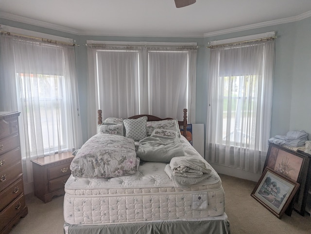 35 Brimmer St, Brewer, ME 04412 - carpeted bedroom with multiple windows and crown molding