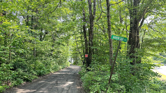 369 Narrow Gauge Trl, Hiram, ME 04041 - view of street featuring a wooded view