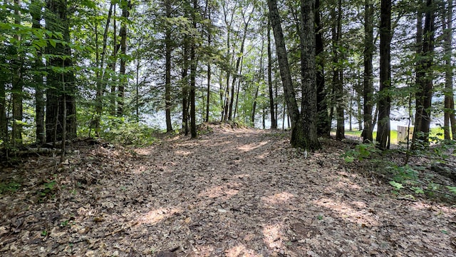 369 Narrow Gauge Trl, Hiram, ME 04041 - view of undeveloped land