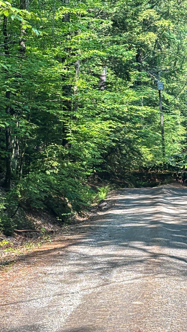 369 Narrow Gauge Trl, Hiram, ME 04041 - view of road with a wooded view