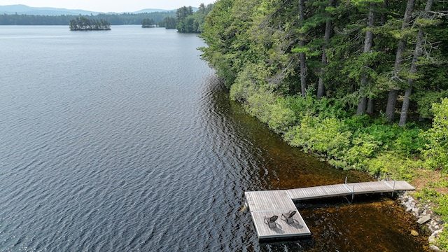 369 Narrow Gauge Trl, Hiram, ME 04041 - bird's eye view of a nearby body of water