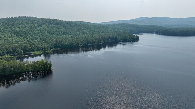 369 Narrow Gauge Trl, Hiram, ME 04041 - water view with a heavily wooded area and a mountainous background