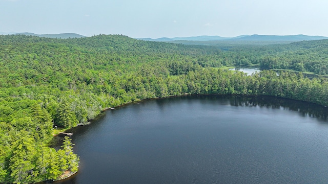 369 Narrow Gauge Trl, Hiram, ME 04041 - bird's eye view of a heavily wooded area and a water and mountain view