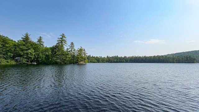 369 Narrow Gauge Trl, Hiram, ME 04041 - water view featuring a heavily wooded area