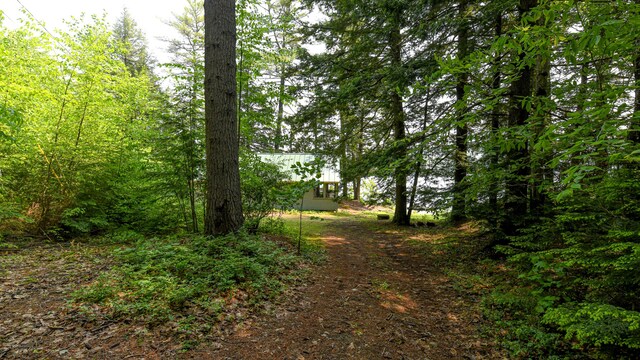 369 Narrow Gauge Trl, Hiram, ME 04041 - view of undeveloped land