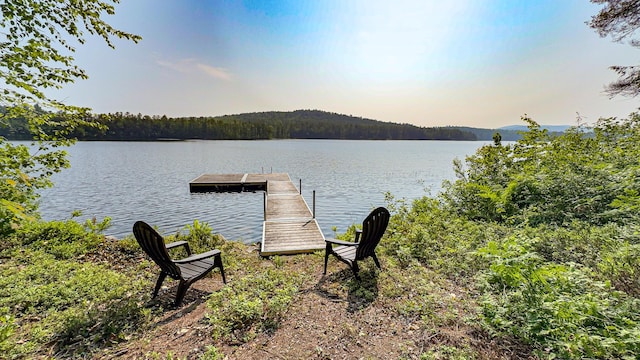 369 Narrow Gauge Trl, Hiram, ME 04041 - dock area with a water view and a wooded view