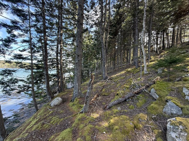 170 Harbor Rd, Swans Island, ME 04685 - photo 83