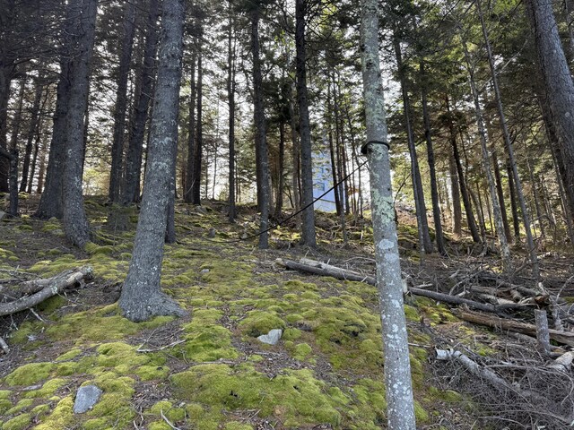 170 Harbor Rd, Swans Island, ME 04685 - photo 85
