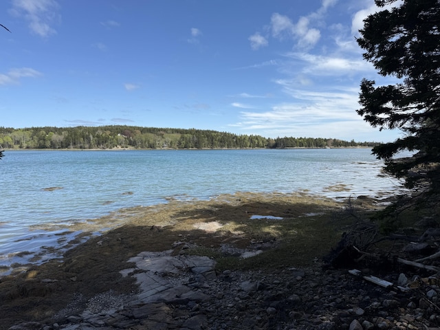 170 Harbor Rd, Swans Island, ME 04685 - photo 87
