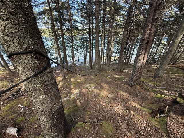170 Harbor Rd, Swans Island, ME 04685 - photo 86