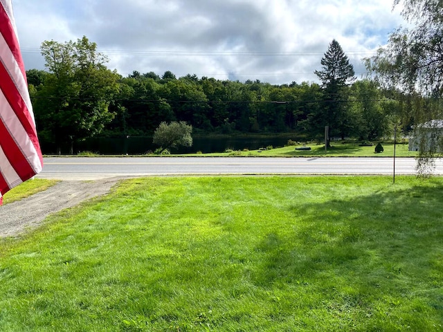 58 Main St, Sangerville, ME 04479 - view of grassy yard