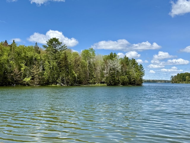 LOT14A W Shore Rd, Sorrento, ME 04677