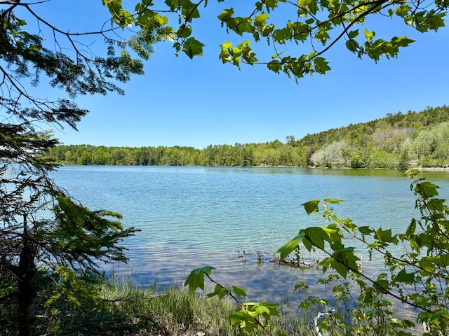 LOT14A W Shore Rd, Sorrento, ME 04677