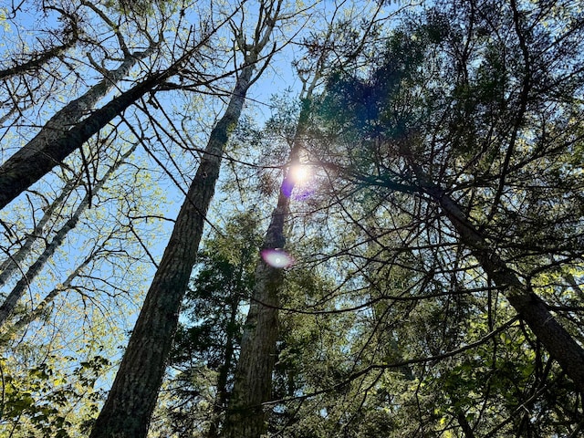 LOT14A W Shore Rd, Sorrento, ME 04677