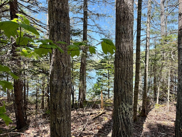 LOT14A W Shore Rd, Sorrento, ME 04677