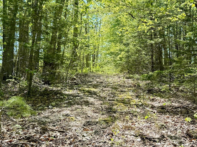 LOT14A W Shore Rd, Sorrento, ME 04677