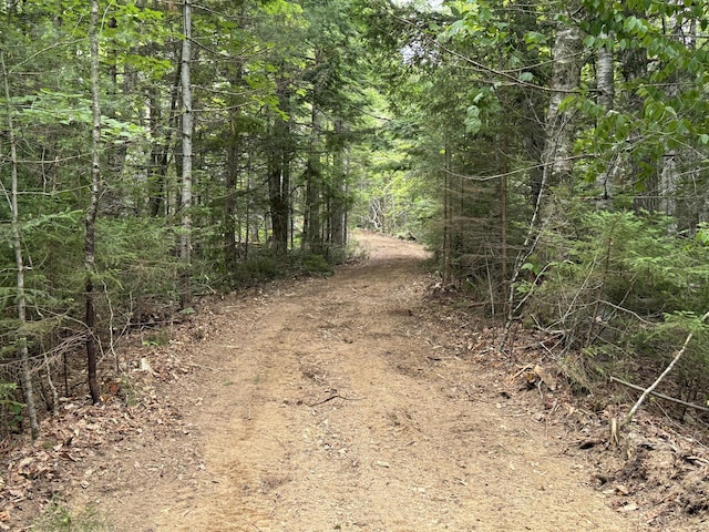 LOT14A W Shore Rd, Sorrento, ME 04677 - photo 16