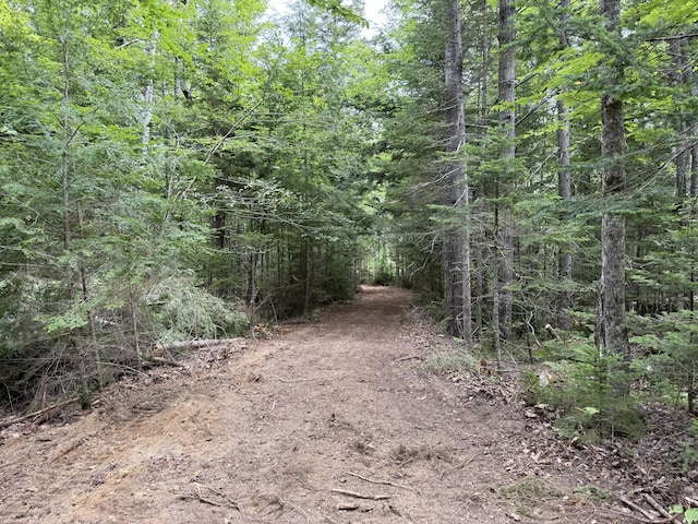 LOT14A W Shore Rd, Sorrento, ME 04677 - photo 3