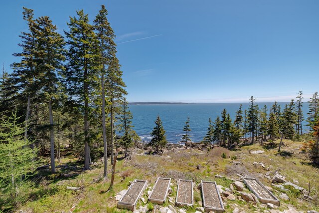 360 Red Point Rd, Swans Island, ME 04685 - photo 45