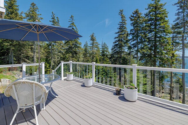 360 Red Point Rd, Swans Island, ME 04685 - photo 51