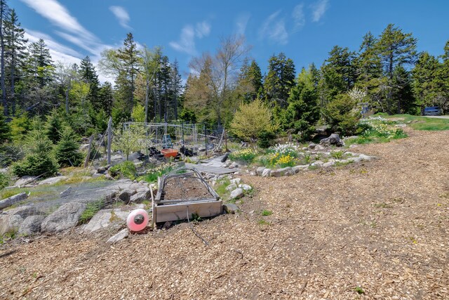 360 Red Point Rd, Swans Island, ME 04685 - photo 100