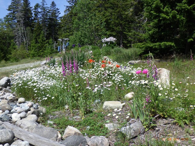 360 Red Point Rd, Swans Island, ME 04685 - photo 130