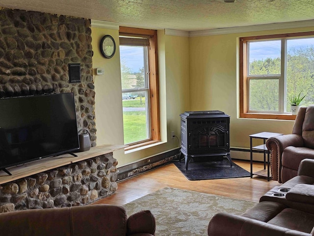 393 Main St, Limestone, ME 04750 - living area featuring a wood stove, a baseboard heating unit, wood finished floors, plenty of natural light, and a textured ceiling