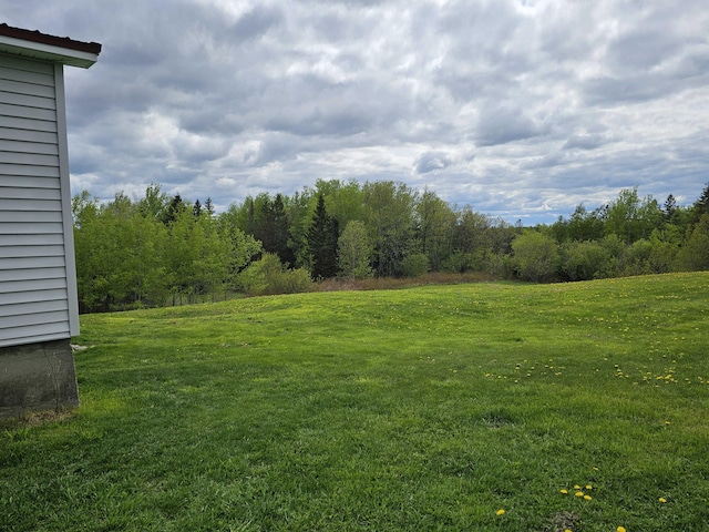 393 Main St, Limestone, ME 04750 - view of grassy yard with a forest view
