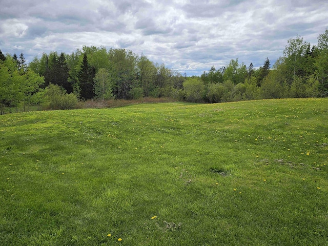 393 Main St, Limestone, ME 04750 - view of nature