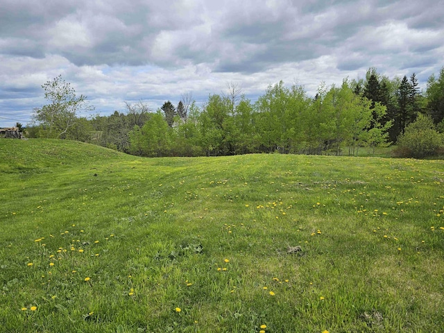 393 Main St, Limestone, ME 04750 - view of grassy yard