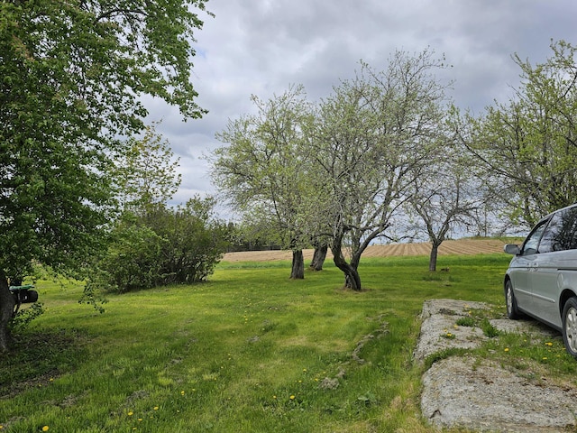 393 Main St, Limestone, ME 04750 - view of green lawn