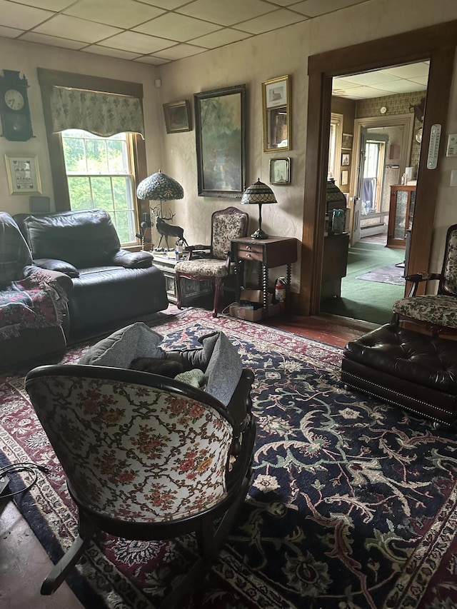 210 Ferguson Rd, Shapleigh, ME 04076 - living room featuring healthy amount of natural light and a paneled ceiling